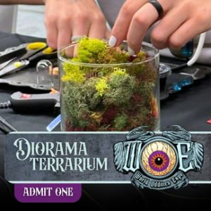 Ticket Add-on: Diorama Terrarium (Irving)