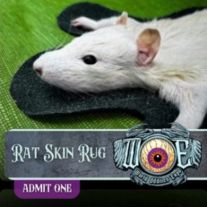 Ticket Add-on: Taxidermy Class - Rat Skin Rug (Irving)