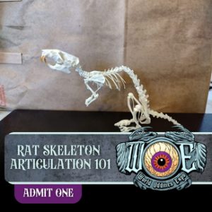 Ticket Add-on: Rat Skeleton Articulation 101 (2 Ticket Bundle) (Milwaukee)